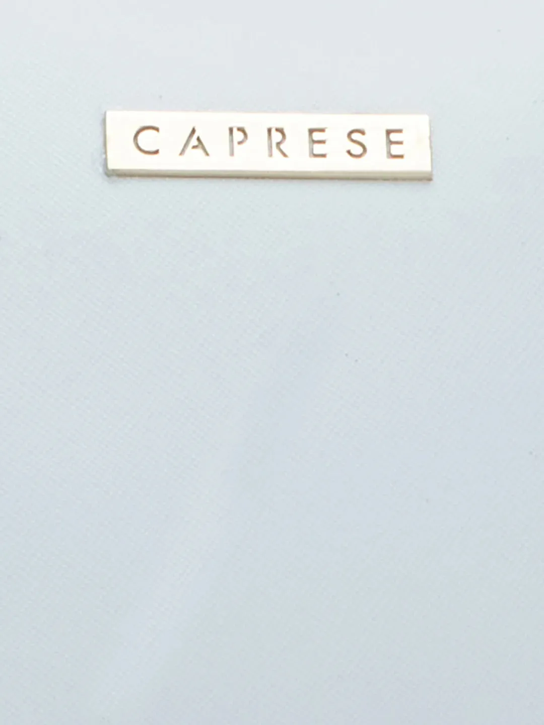 Caprese Holden Small Sling Solid Faux Leather For Women Powder Blue