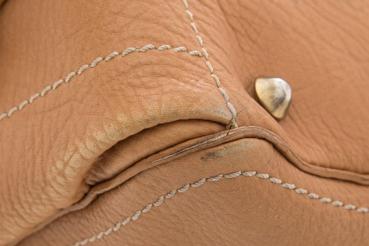 Celine Tan Handbag