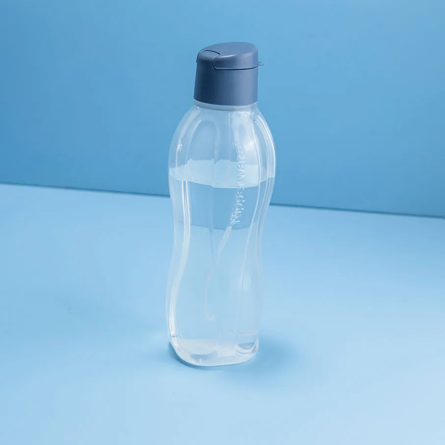 Eco  Bottle | Medium