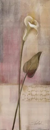 Elegant Calla Lily