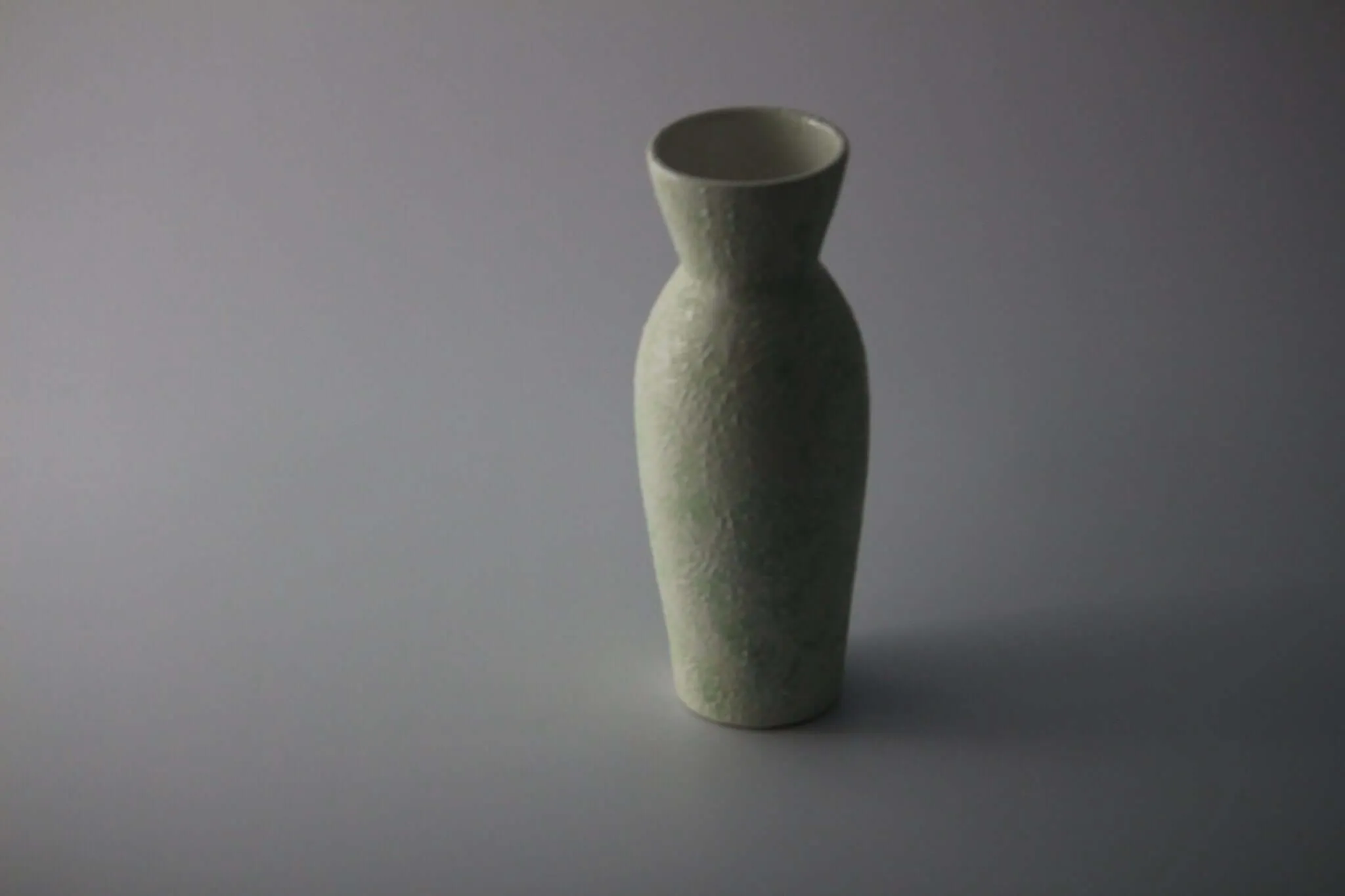 Elegant Ceramic Vase
