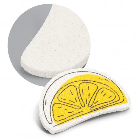 Expandable Sponge 123106