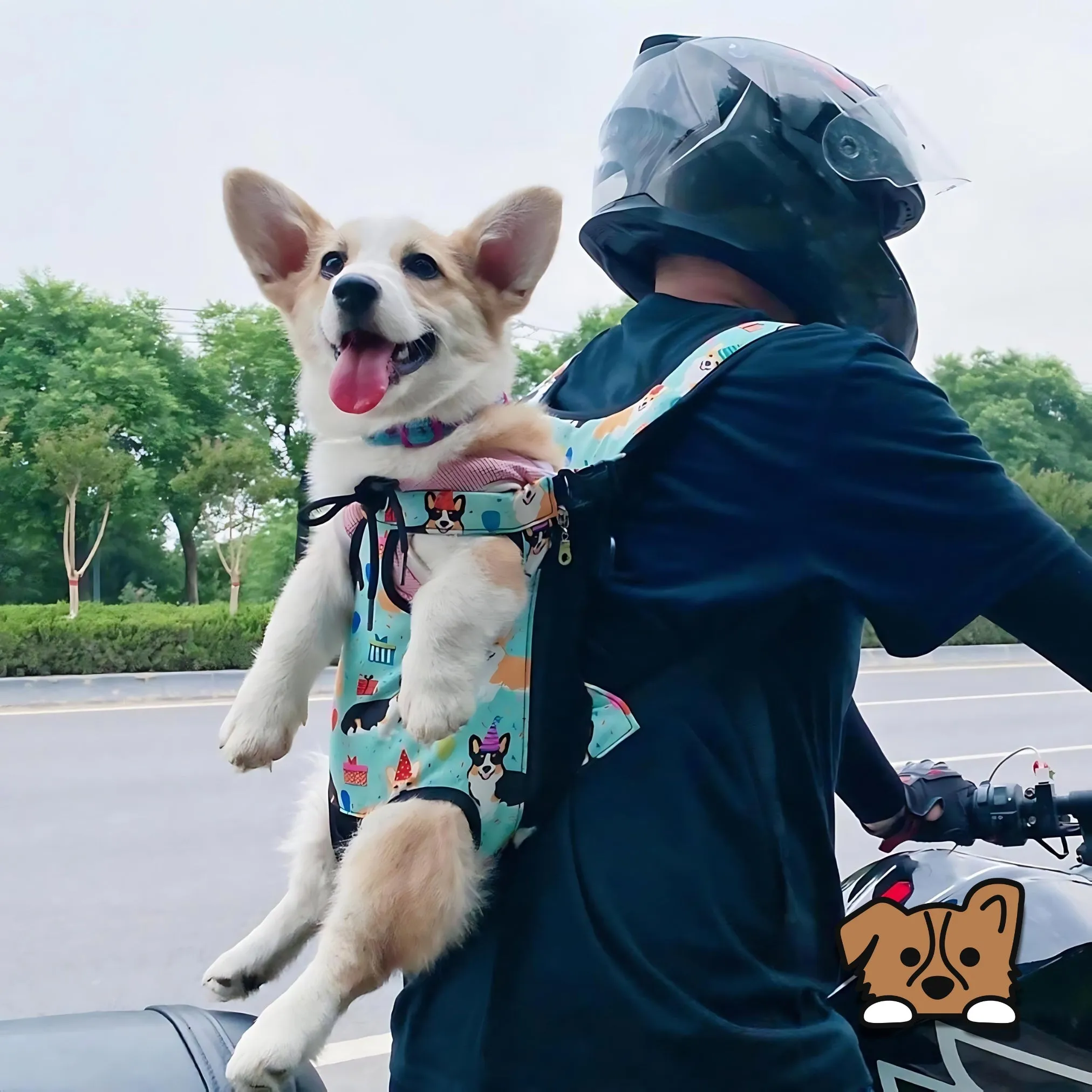 Pet Carrier Packsack