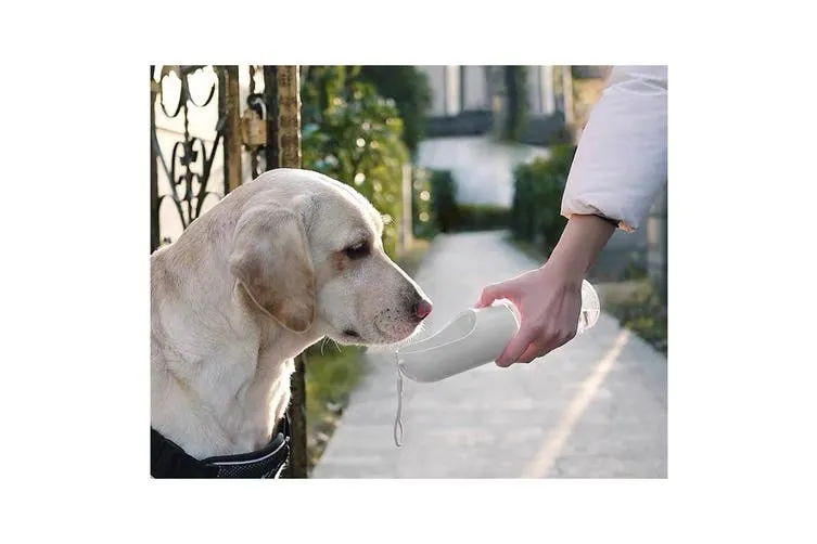 Petkit Travel Water Bottle