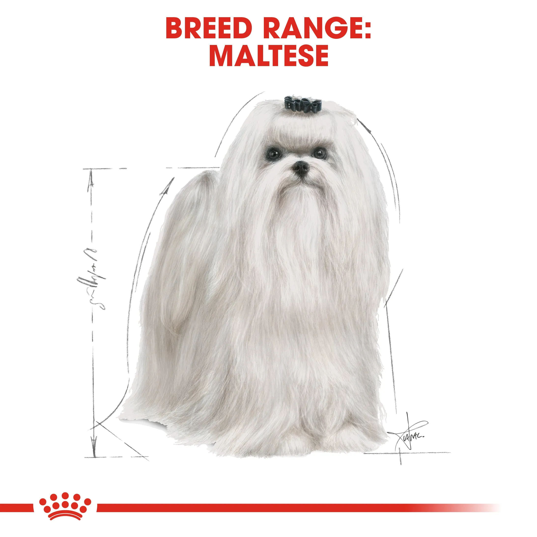 Royal Canin Maltese 1.5kg