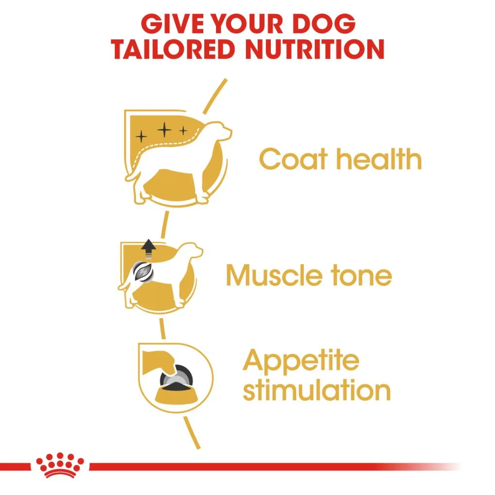 Royal Canin Poodle Pouches