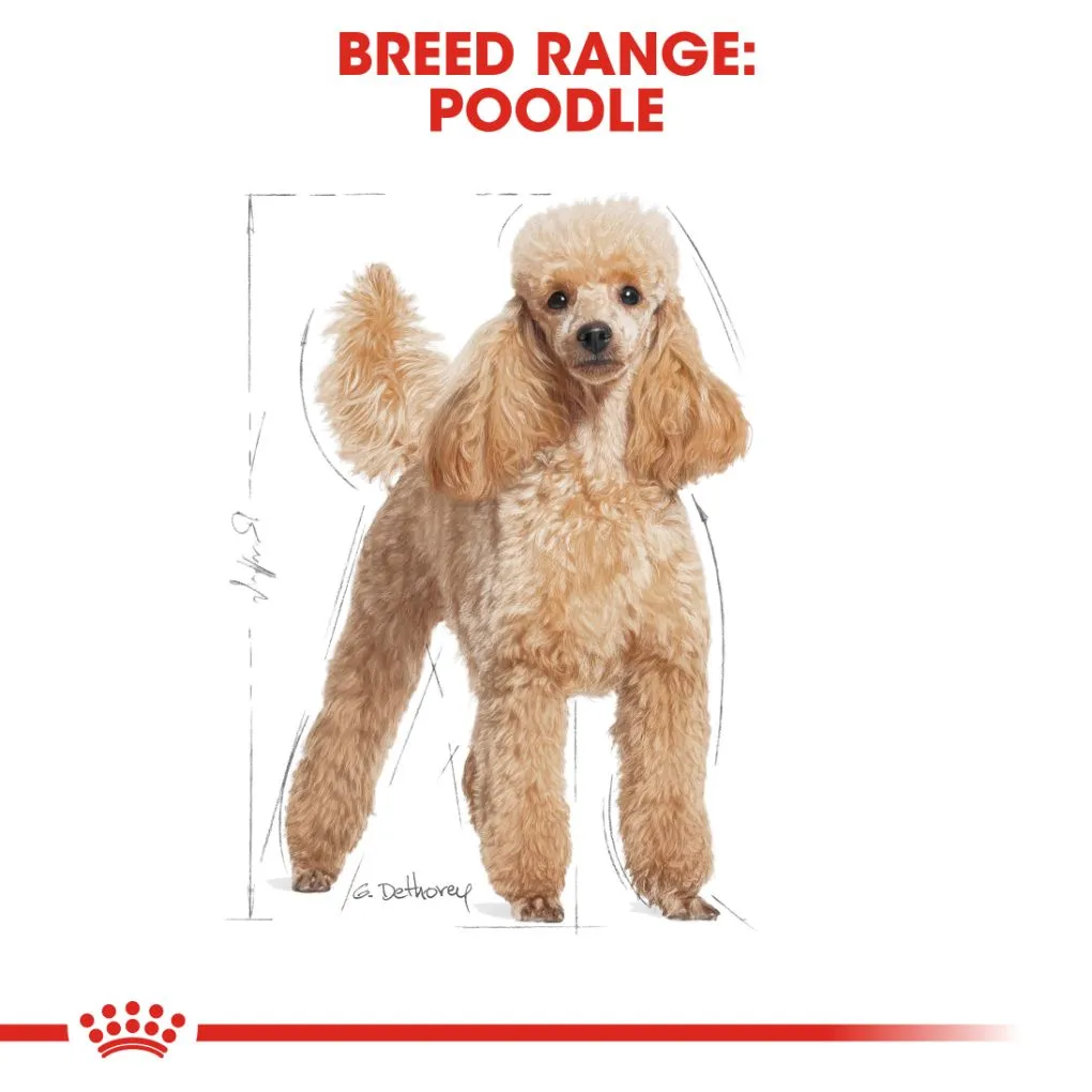 Royal Canin Poodle Pouches